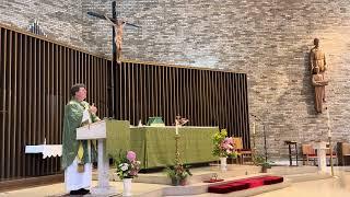 You Have the Words of Everlasting Life. Homily for the 21rst Sunday in Ordinary Time 8/25/2024