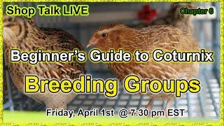 Shop Talk Live - Beginner's Series - Breeding Groups