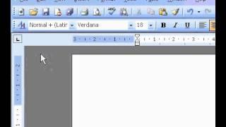 Microsoft Office Word 2003 Show or hide white space in print layout view