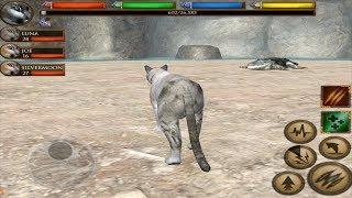 Cougar VS Alligator, Wild Boar, Fox, Deer and More, Ultimate Forest Simulator