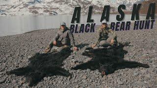 Alaska Black Bear Hunt | Tagged Out