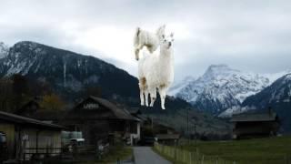 7 Songs About Llamas in Rock & Metal