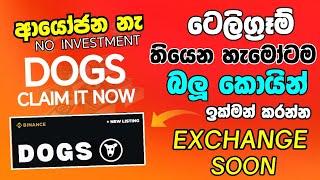 Dogs coin telegram airdrop | Dogs airdrop Sinhala | Dogs airdrop price prediction & Listing Exchange