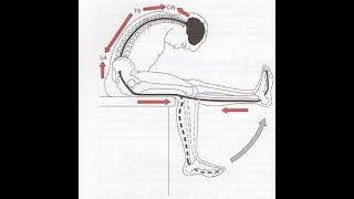 Tests for Neurological dysfunction of Lumbar spine! #StayHome and study #WithMe!