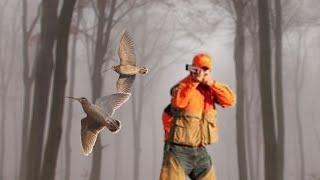 La top 5 della caccia al doppio beccaccia - Le top 5 de la chasse à la double bécasse