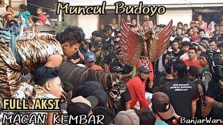 Keblak-keblak Macan Kembar Muncul Budoyo Beran Lor || Live Banjarwaru