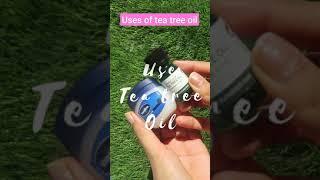 How to use tea tree oil? Benefits of tea tree oil! #shorts #shortsindia #youtubeindia