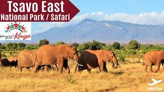 TSAVO EAST NATIONAL PARK SAFARI | BIG 5 | ULTRA HD | GAME DRIVE | AMAZING KENYA SAFARI IMPRESSIONS