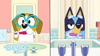 Affianco ⏰ | BLUEY - I CORTI  | Bluey Italiano Canale Ufficiale