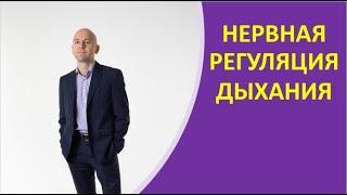 7. Нервная регуляция дыхания