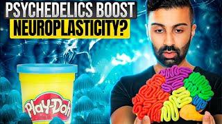 The Playdough of the Mind: How Psychedelics Boost Neuroplasticity