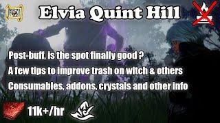 BDO | Succ Witch - Quint Hill Elvia 11k+/hr L2 (yellow LS)