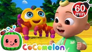 Itsy Bitsy Spider ️ |  CoComelon  | Preschool Learning | Moonbug Tiny TV
