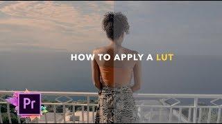 How To Properly Apply A LUT In Adobe Premiere!
