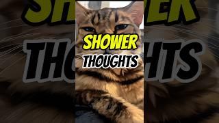 Shower thoughts  #cat #cats #meow #capcut #shorts #funny #showerthoughts #ytcreators