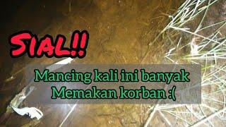 MANCING BELUT malam hari banyak memakan korban