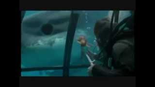 Megalodon Attack