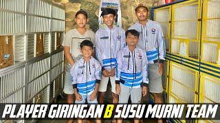 PLAYER MERPATI BALAP SUSU MURNI TEAM GIRINGAN B