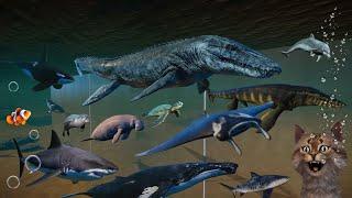Prehistoric VS Modern Sea Animals Race in Planet Zoo included Mosasaurus, Shark, Sea Lion, Orca