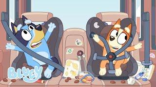 Car Fun with the Heelers | Bluey