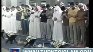 Quran Recitation Really beautiful amazing crying   YouTube