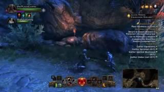 NEVERWINTER PS4 TIPS AND TRICKS WHAT THEY DONT TELL YOU!!
