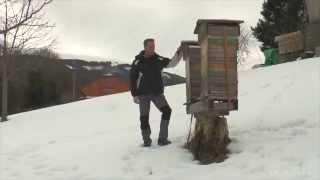 André Wermelinger -   Warré Bienenhaltung in der Schweiz