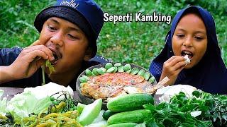 MUKBANG LALAPAN SEGAR - LALAPAN MENTAH SAMBEL TERASI