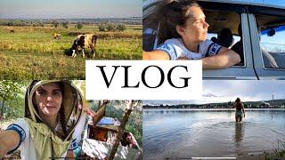 Домашний VLOG| Отдых в Венгрии| Пасека| Украина