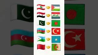 Countries that love each other | friends country #palestine #iraq #turkey #algeria #somalia