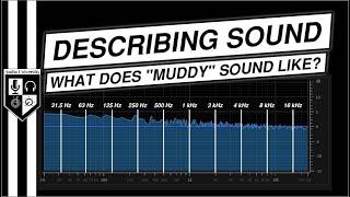 What Does "Muddy", "Boxy", & "Tinny" Sound Like? | WORDS TO DESCRIBE SOUND QUALITY