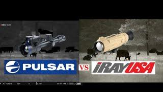 IRay alpha vs pulsar thermion xp50 LRF pro @iRayUSA  @PulsarVision