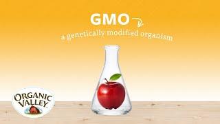 Is USDA organic always non-GMO? | Ask Organic Valley