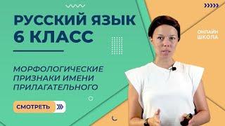 Морфологические признаки имени прилагательного. Видеоурок 21. Русский язык 6 класс