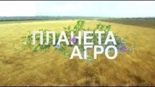 БИО продукция? Так ли это на самом деле? «Планета Агро»