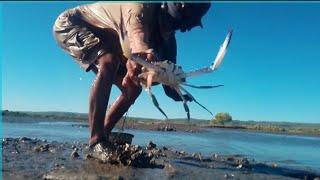 episode 187: catching seafoods: catch and cook..foodtrip 