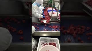 Frozen Strawberry Sorting & Packing Line