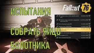 Fallout 76 Собрать яйцо болотника