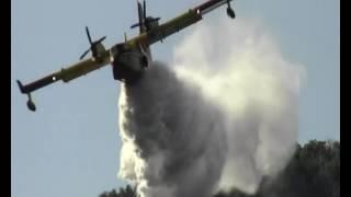 E’ ancora emergenza incendi in Calabria | IL VIDEO