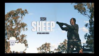 SESH - SHEEP (Official Music Video)