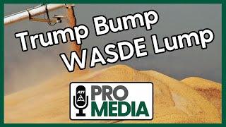 Trump Bump - WASDE Lump