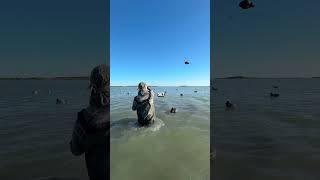 Complete Duck Hunt in the Laguna Madre | Mexico