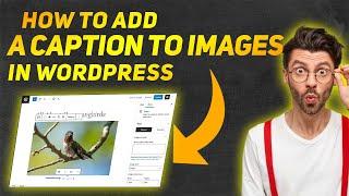 How to Add a Caption to Images in WordPress - Super Easy 2024 