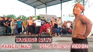 Tanding Mate | Kancil Mas VS Bing Gubuk Kebon Peresean Barejulat