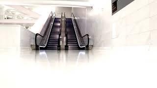 Escalators Stock Video ( Free for Commercial Use )