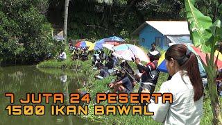 DIJAMIN SEKALI NARIK BAWAL BABON PASTI PEGEL  MANCING BARENG KOLAM 1500 BAWAL 25 PESERTA