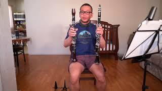 Backun Alpha Student Clarinet vs Buffet R13 Professional Clarinet Comparison