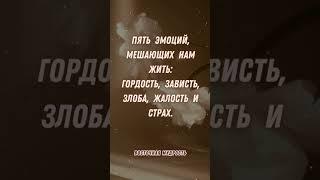 ПЯТЬ ЭМОЦИЙ.../Статусы со смыслом, цитаты