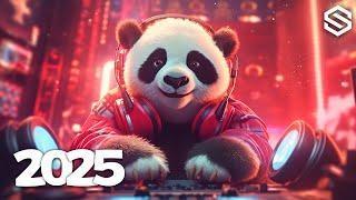 Music Mix 2025  EDM Mixes Of Popular Songs  EDM Bass Boosted Music Mix #011