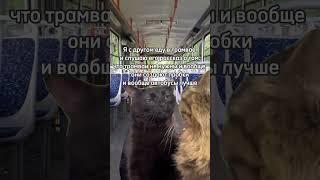 Типичный разговор с другом в трамвае - A typical conversation with a friend on the tram #shorts